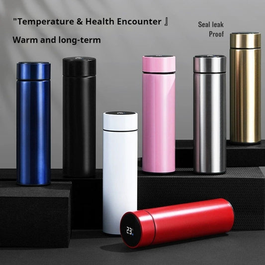 Bouteille thermos intelligente 500 ml avec affichage de température – Gourde de sport, tasse isotherme pour voiture – Garde au chaud et au froid – Mug thermique à vide